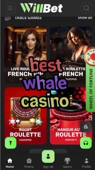Best Whale Casino - High Roller Casino Guide-casinoorder.vip