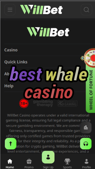 Best Whale Casino - High Roller Casino Guide-casinoorder.vip