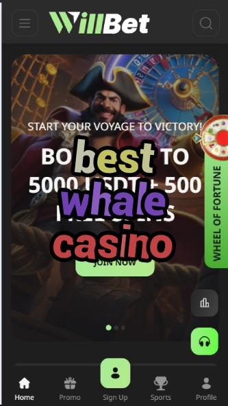 Best Whale Casino - High Roller Casino Guide-casinoorder.vip